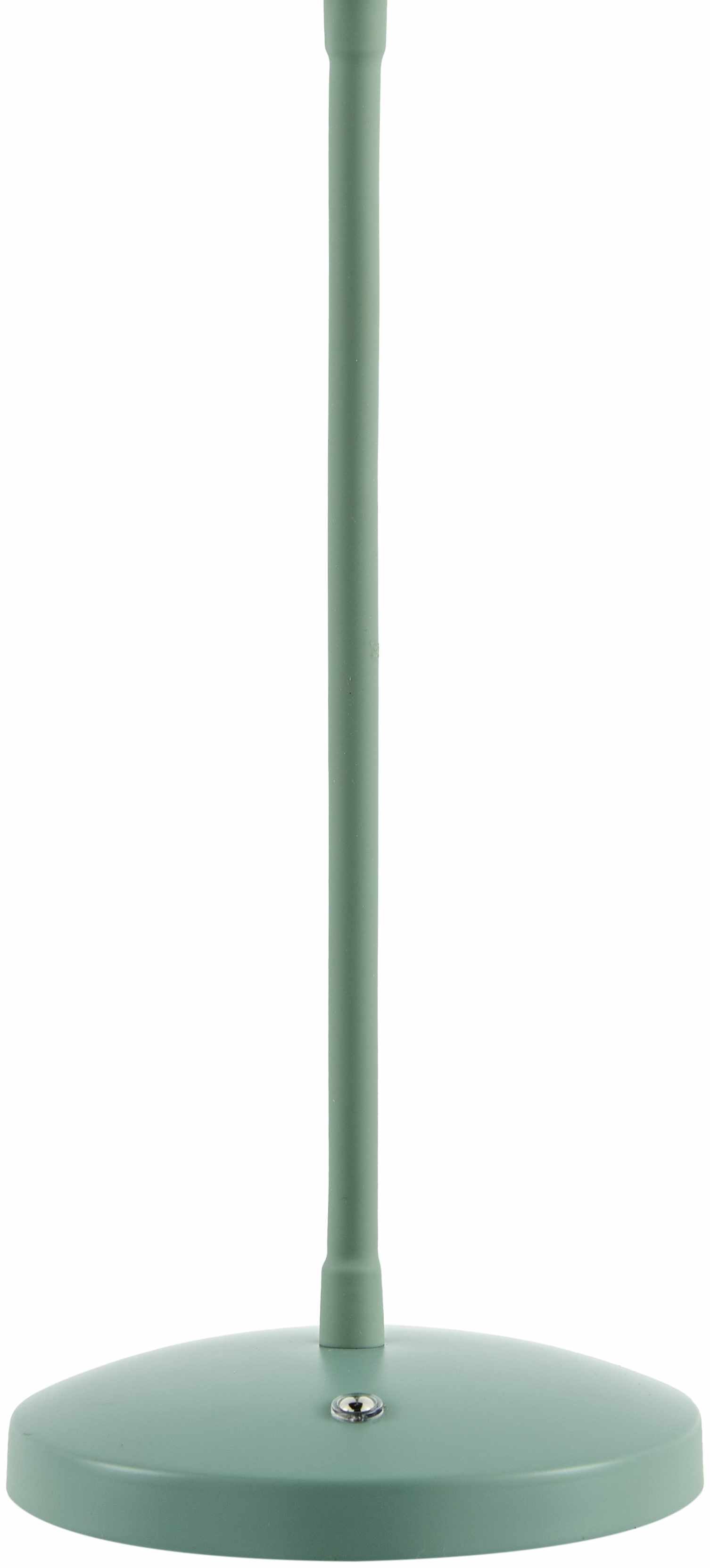 Pachiquita Sage Table Lamp